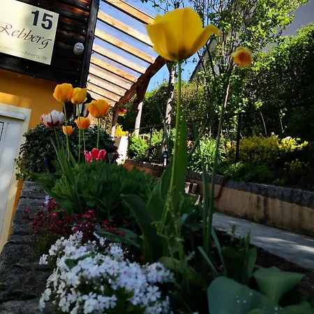 Haus Rebberg *