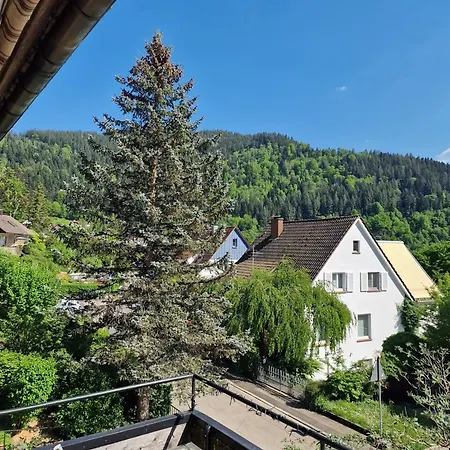 Apartmán Haus Rebberg Wolfach